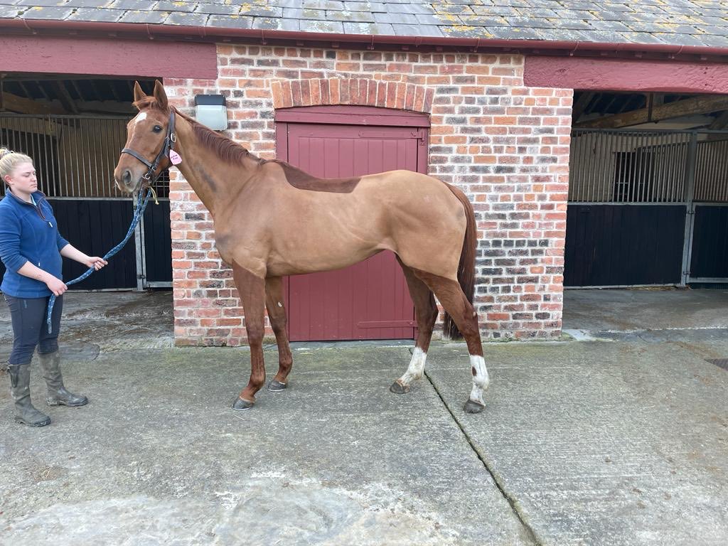 Tony Palk tweet media