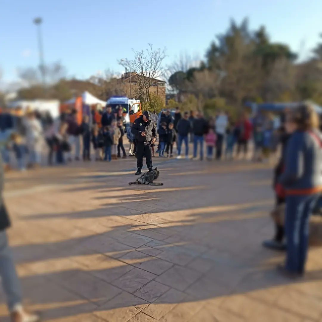 PoliciaVillalba's tweet photo. #DiaServiciosEmergencia
👌 Éxito en ambas jornadas celebradas con motivo del #Dia112
👪 Los asistentes han podido presenciar como trabaja la unidad canina 👮♂️🐕 además de participar en talleres, charlas y ver el equipamiento de los servicios de emergencia
☎ 1️⃣1️⃣2️⃣
#PLocal https://t.co/JlATBH98Bq