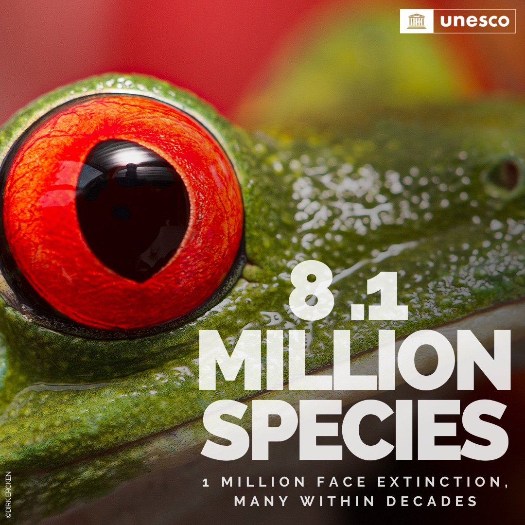 IPBES's tweet photo. It is a fact: the world’s #biodiversity is facing an unprecedented decline. 🌎

That is why there's a need for conservation policies that protect biodiversity &amp; its contributions to people.🌿

#ForNature

🔎@IPBES #GlobalAssessment
📷 @unesco
⬇️More info
https://t.co/tldFKZxG2d https://t.co/NeNI1st0IB