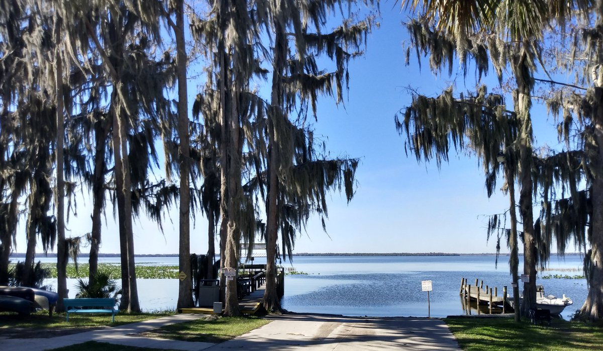 Paul Schlienz on Twitter "Lochloosa, Florida"