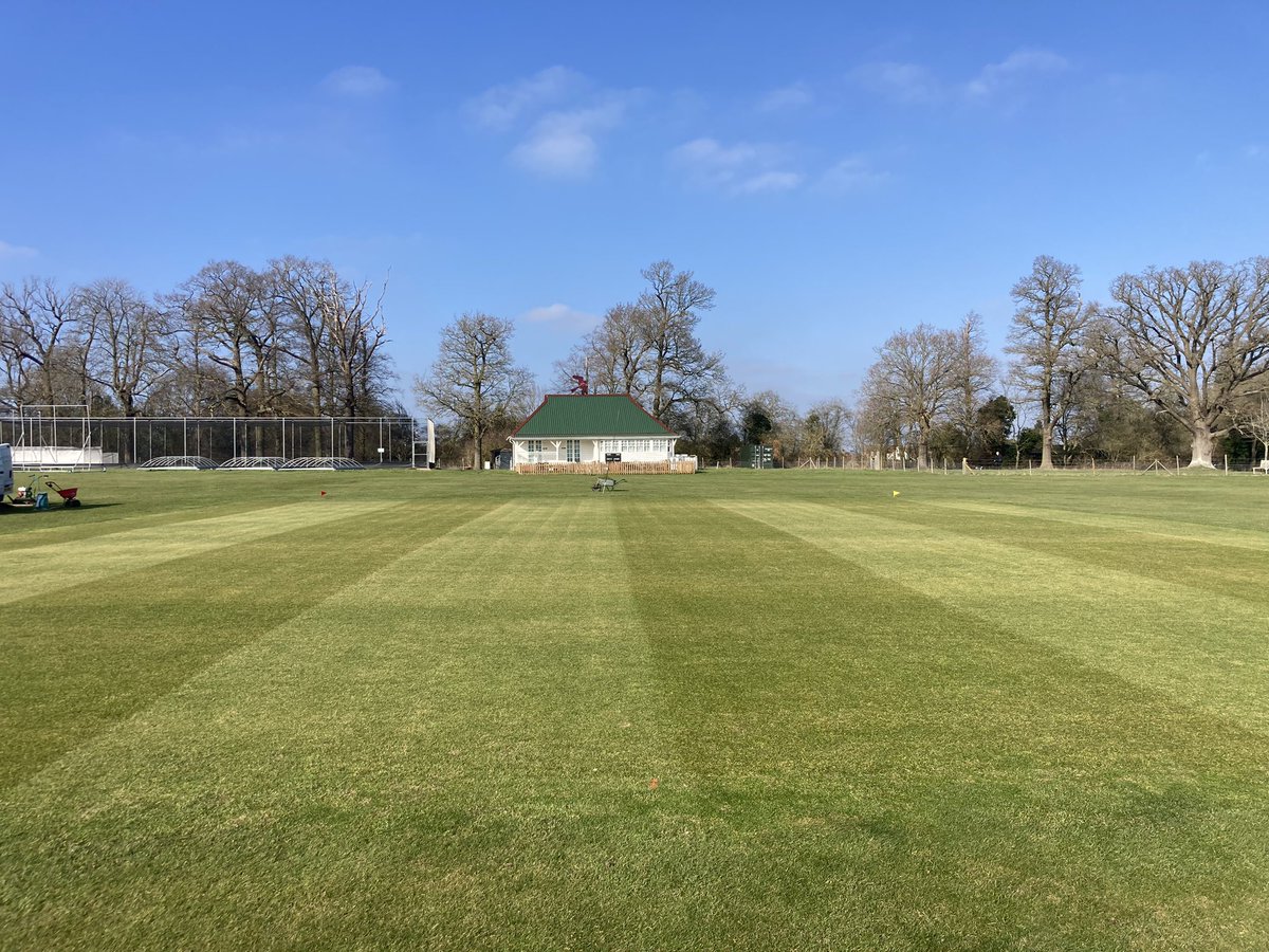 Jamie Foyster tweet media