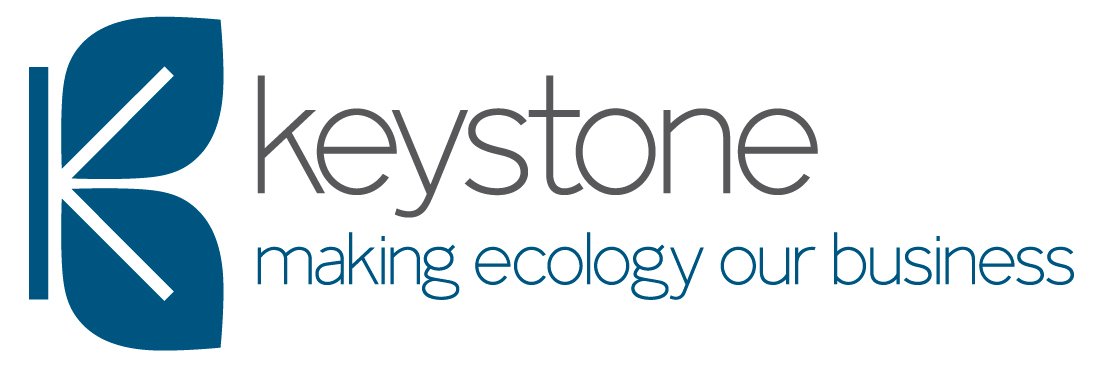 jgrgroup's tweet photo. New partnership! We are delighted to be working in partnership with Keystone Environmental to provide ecological staff for the Wildfox Resorts, Afan Valley development.
Find out more: https://t.co/m3js5XxYjv
#FieldworkAssistants #EcologicalFieldSurveyors #Vacancies #AfanValley https://t.co/bMODh0oabA