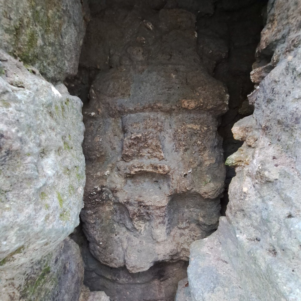 Edwin Roman-Ramirez tweet media