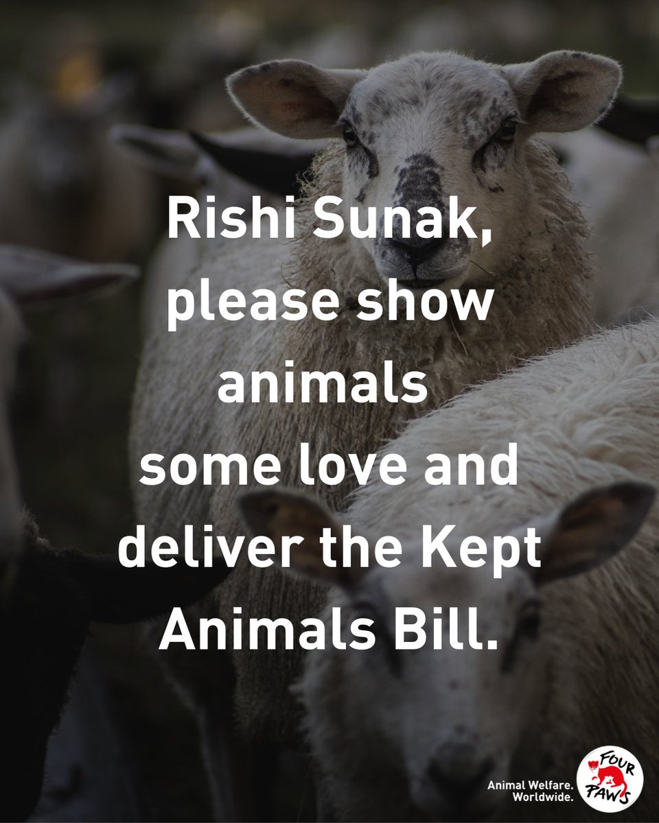 FOUR PAWS UK (@fourpawsuk) on Twitter photo We're just an animal welfare organisation, standing in front of the UK Government, asking them to care about animals ❤️.
No more broken promises. We need to see action.
We need <a href="/RishiSunak/">Rishi Sunak</a> to deliver the Kept Animals Bill.
#AnimalsMatter
#AnimalsNeedLoveActually We're just an animal welfare organisation, standing in front of the UK Government, asking them to care about animals ❤️.
No more broken promises. We need to see action.
We need <a href="/RishiSunak/">Rishi Sunak</a> to deliver the Kept Animals Bill.
#AnimalsMatter
#AnimalsNeedLoveActually