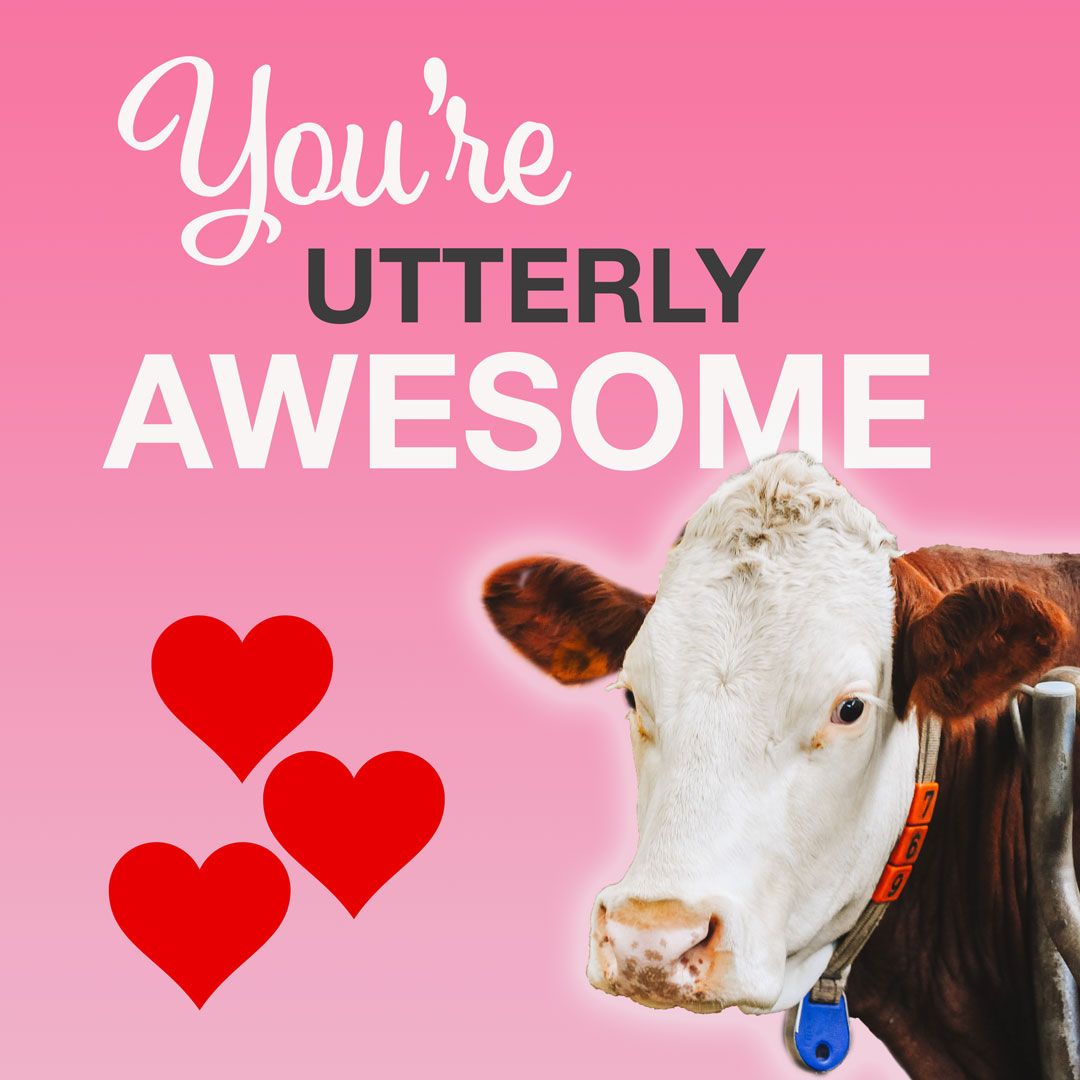 Happy Valentine’s Day from Colville Crop Insurance! Here’s to all those who share a love for farming, good food, and lots of fun. ❤️

#cropinsurance #americanfarmer #loveyourfarmer #supportlocal #eathealthy #farmingtradition #farmfun #cattlefarmer