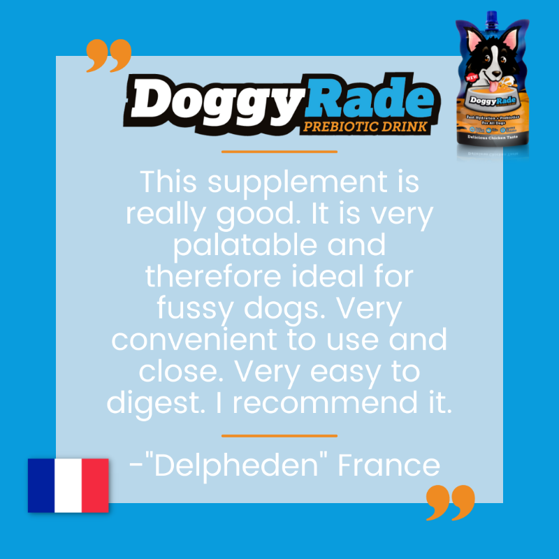 DoggyRade's tweet photo. Another great review from France! To hear more from our satisfied customers, check out our website 🐩 https://t.co/F37F0t5Byq
