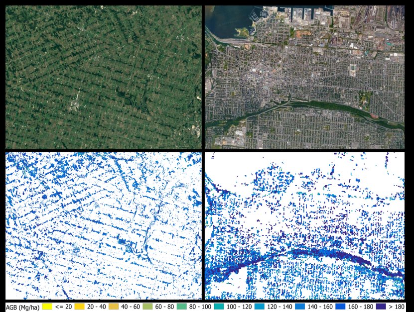 Measuring &amp; weighing all the trees in Canada, including those outside forest ecosystem in agricultural &amp; urban areas is the 1st step for properly assessing ecosystem restoration potential and accounting national carbon budget. Work in progress <a href="/NSERC_CRSNG/">NSERC / CRSNG</a> <a href="/WWFCanada/">WWF-Canada</a> <a href="/ONresources/">Ontario Ministry of Natural Resources</a>