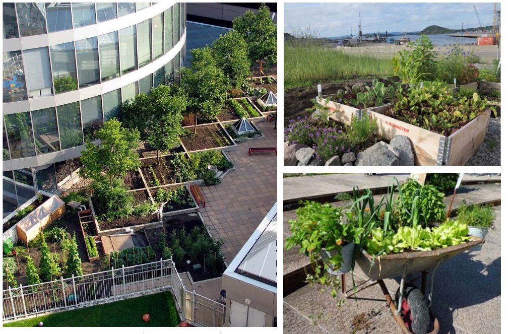sieugreen's tweet photo. Development of sustainable and circular urban farming systems in Europe and China is one of the main objectives of #SiEUGreen,taking advantage of the yellow, blue, green technology and social innovation. @HorizonEU #UrbanAgriculture #ResearchImpactEU #InvestEUResearch  #EUFunding https://t.co/nsAbBtLNgi