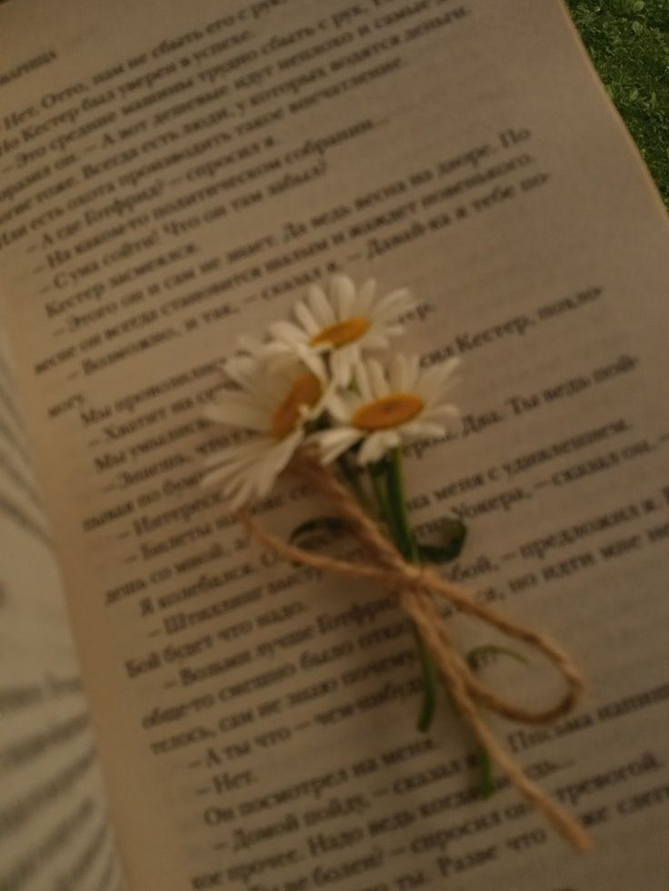 прости за поздное появление, я занимался одним... исследованием? да... 
сегодня многие как-то взволнованы, а в лавке цветочницы было много народу. интересно...
а как прошёл твой день?
/вы поговорили ещё пару минут и юноша ушёл, оставив пару перевязанных ромашек на вашей книге/