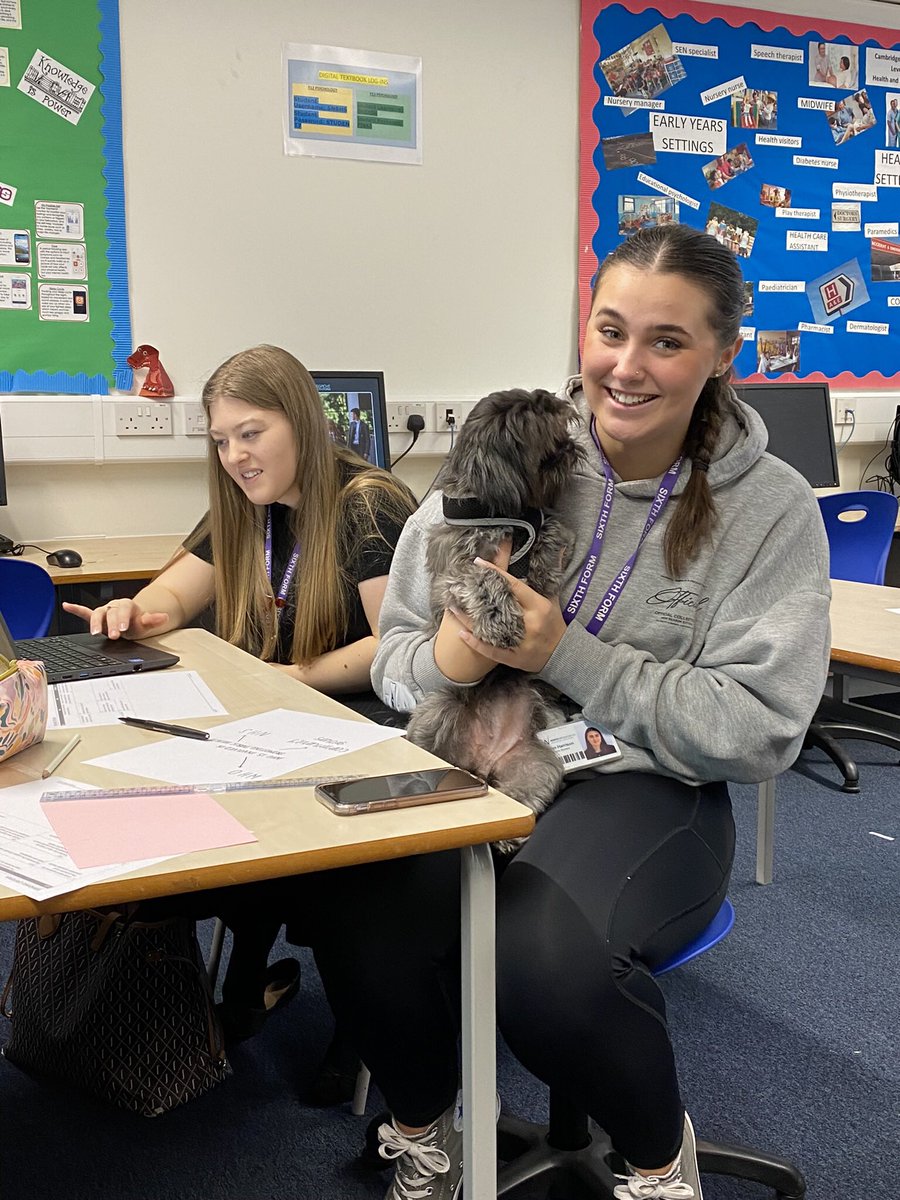 NBHSpsychealth's tweet photo. We had a special visitor in Y13 Health today 🐶🐶🐶@NBHSPerformArt do you know anything about this? #legallyblonde #schoolshowtime https://t.co/hN6KQBwd81