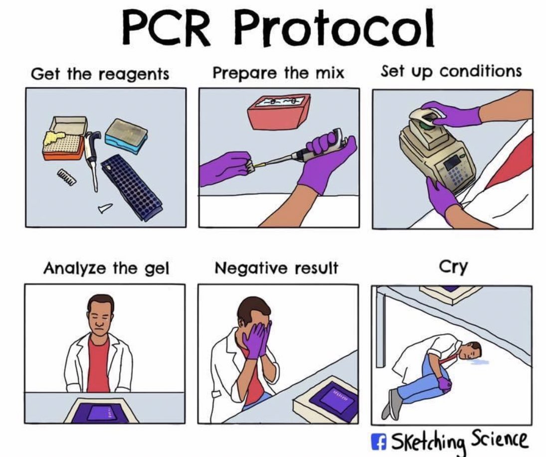 hayat0ashi's tweet photo. دعاء PCR ربي لا أسألك رد القضاء، ولكن أسألك اللُّطْف فيه🙈🙏🏻 https://t.co/OU3eA0CcZE