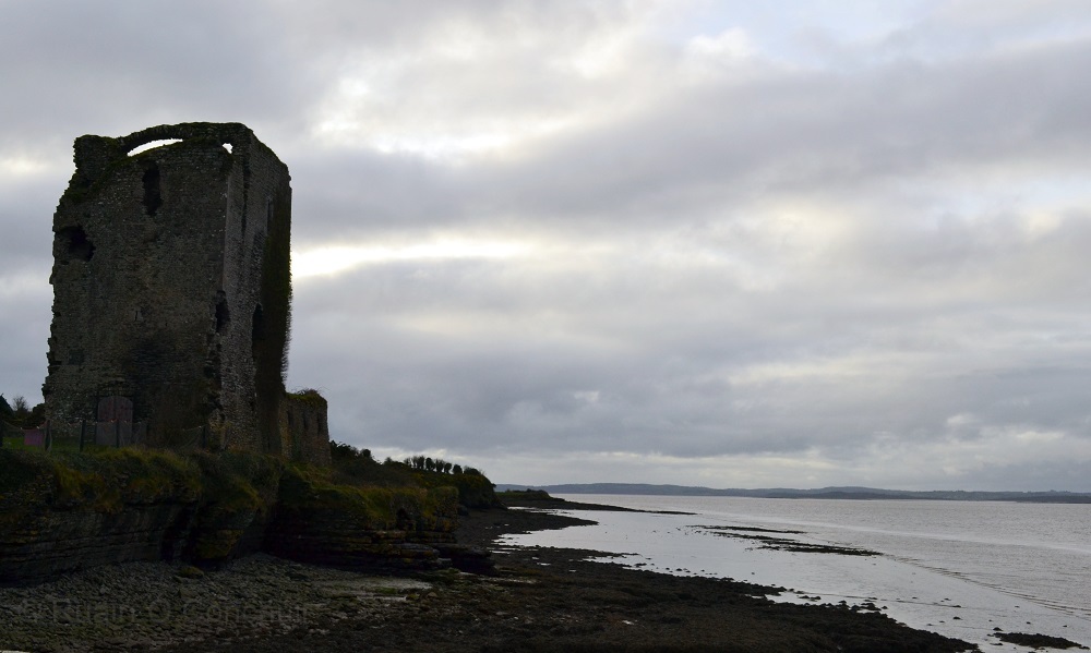 Ruairí Ó Conchúir tweet media