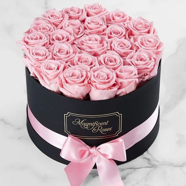 ASTEROIDSRP's tweet photo. Selamat hari kasih sayang untuk Nak-Nakku (‘∀’●)♡ https://t.co/ruwSs7owo0