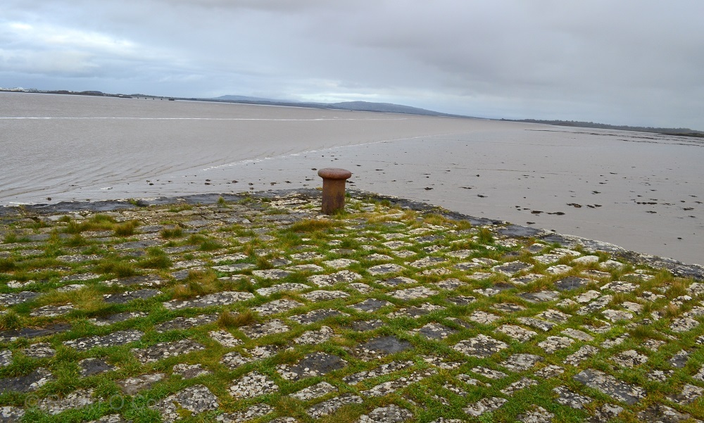 Ruairí Ó Conchúir tweet media