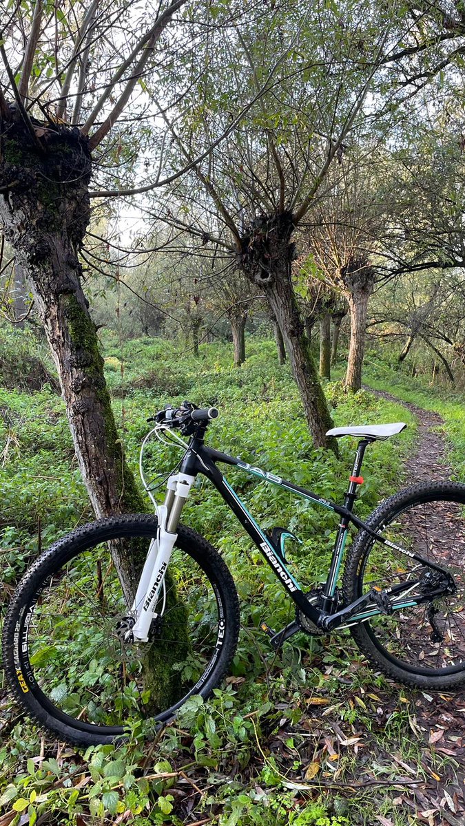 DorineW's tweet image. Deze geliefde fiets van m’n partner is vandaag tussen 13.30u en 16u gestolen op de Teilingerstraat in Rotterdam. Als je er iemand op ziet fietsen, vraag dan vriendelijk of ze hem weer terug kunnen brengen naar ons.