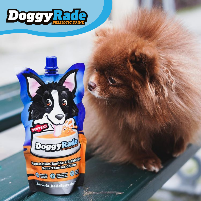 DoggyRade's tweet photo. Lovely photo of dina_and_groove enticed by our delicious chicken smell 🤩 Send us your photos of your pets trying DoggyRade! https://t.co/mtCyHSklQH