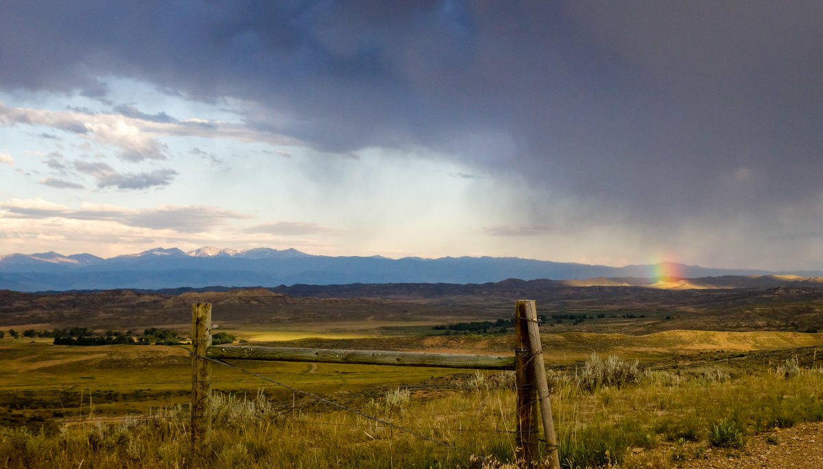 We are hiring 5 people to join us this summer field season to study wildlife in sagebrush habitats in Wyoming. Come work with interesting people in a beautiful place. Please RT.  Details here: uwaterloo.ca/scholar/bfedy/…  <a href="/ers_uw/">School of Environment, Resources & Sustainability</a>