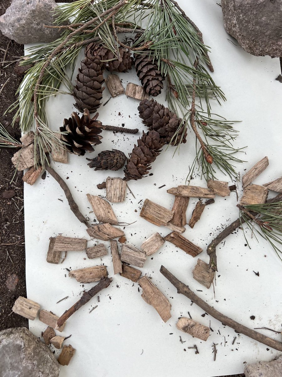 MissKSmith2's tweet photo. P1E created a human body and could name the body parts. Thank you for the inspo @DimelowMrs #outdoorlearning #meandmybody #creativity #weachievetogether @Stoneywood_1 https://t.co/OgggBqm4Xz