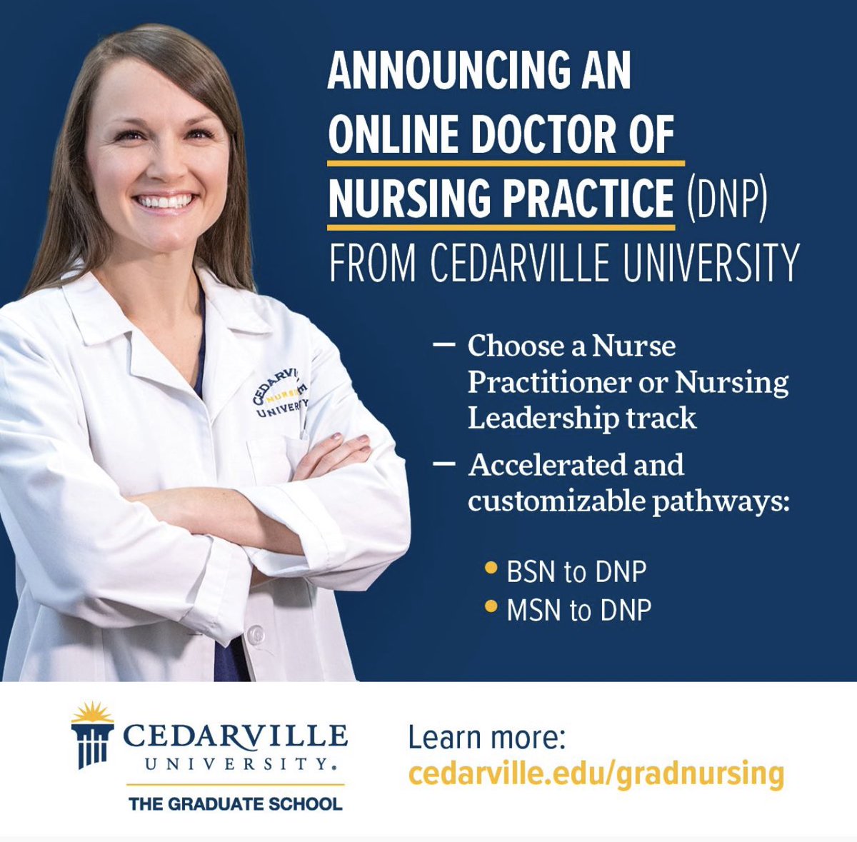 If you already have your MSN you can get your DNP from <a href="/cedarville/">Cedarville University</a>