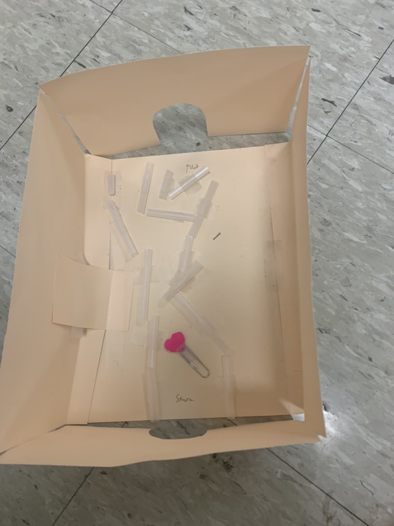 ATeam3rd's tweet photo. So much fun today creating our heart magnet maze! https://t.co/tsFRumjdLm