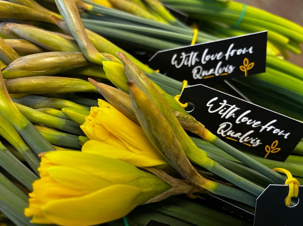 Qualvis Print & Packaging tweet media