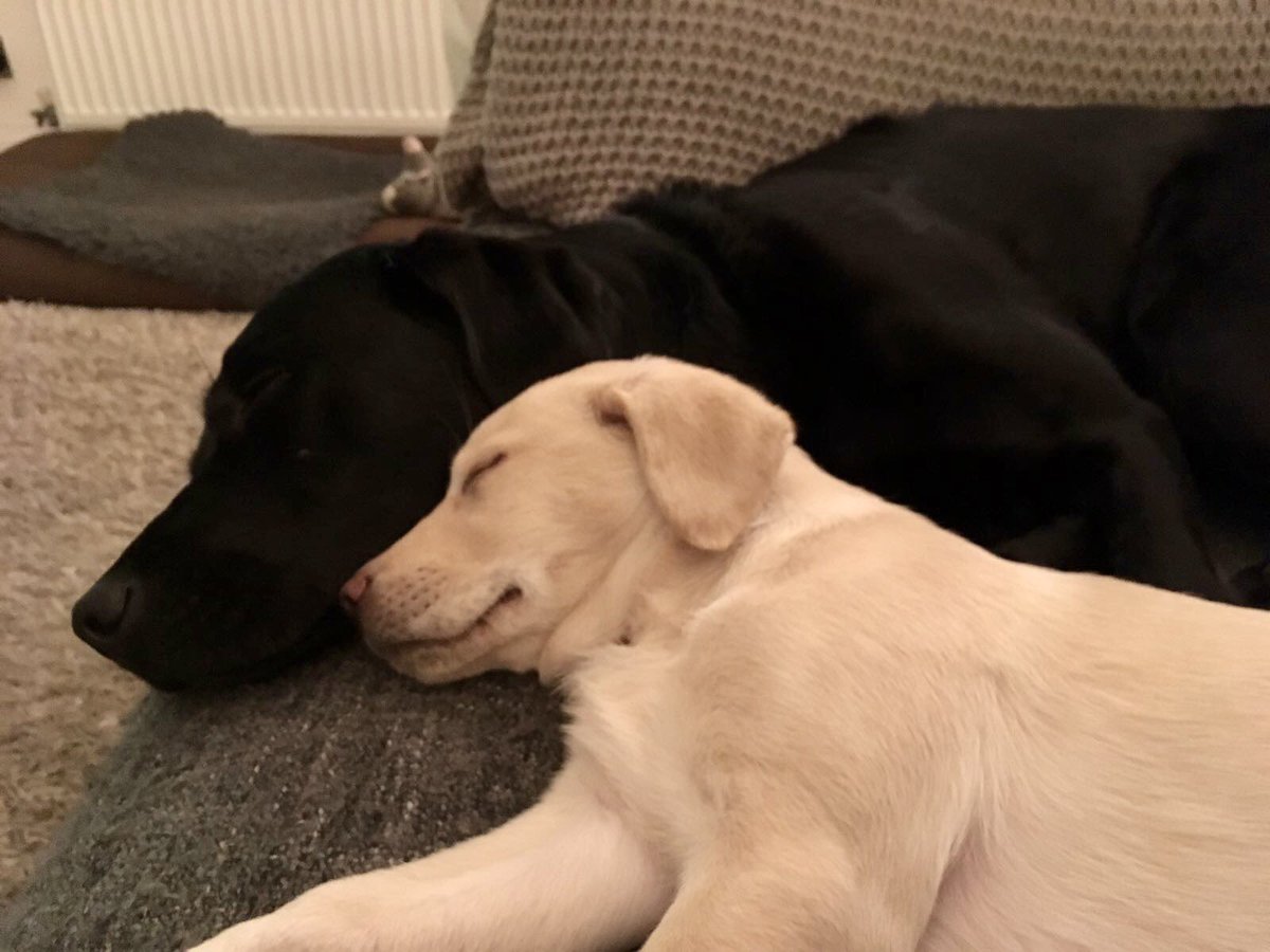 Andrew Cotter tweet media