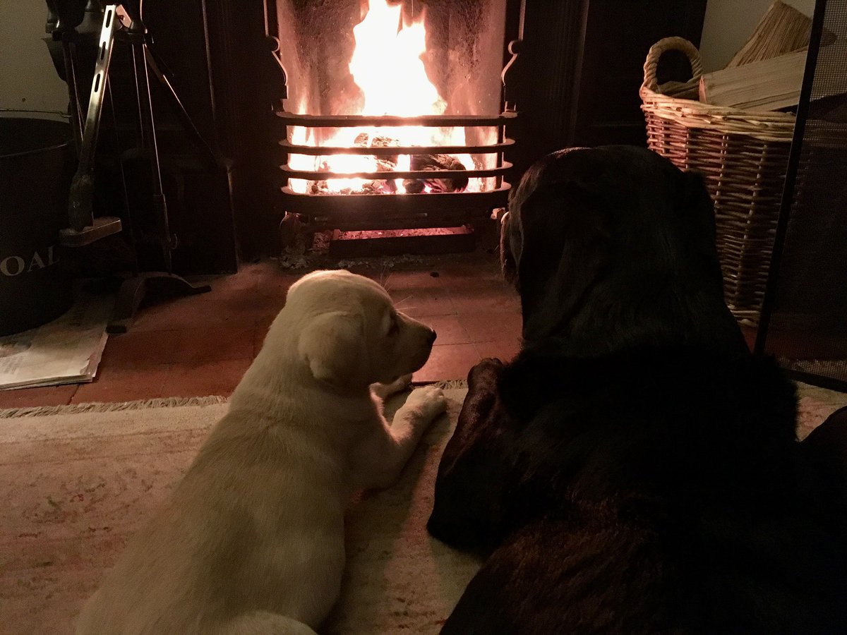 Andrew Cotter tweet media