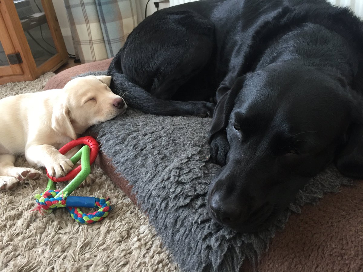 Andrew Cotter tweet media