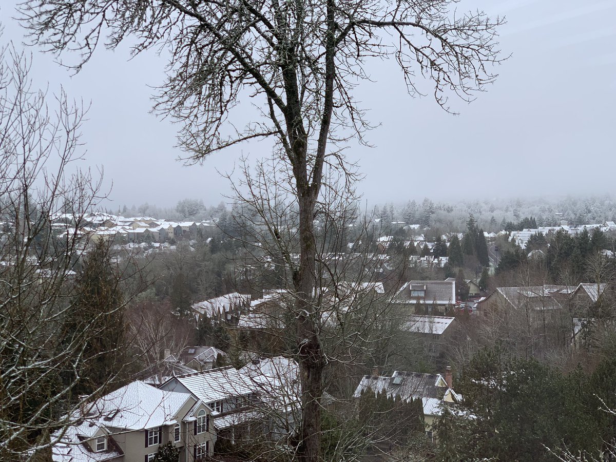 WeatherDog_Will's tweet photo. Woke up to this beautiful view this morning! More snow at higher elevations, but roads at 700’ &amp; below are clear in NW PDX. @KOINNews @KOINWeather @KelleyKOIN https://t.co/sULZY2tdyD
