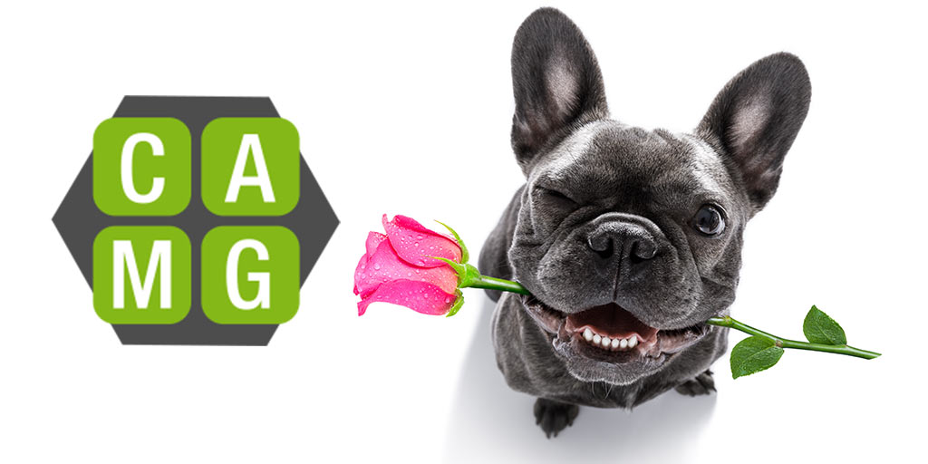CAMG_Inc's tweet photo. Roses are red, violets are blue, CAMG is grateful to have clients like you! Wishing you a happy and love-filled Valentine's Day 💕❣️🌹
#ClientLove #ValentinesWishes #ValentinesDay #LegalMarketing #CAMG #BusinessValentines https://t.co/4zwBuq64n3