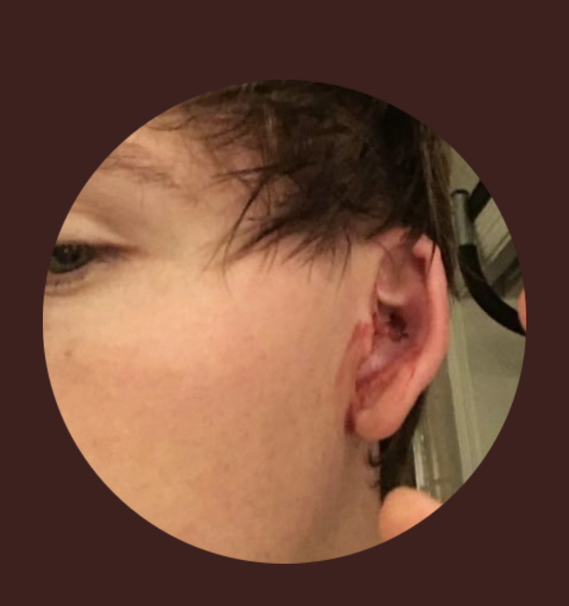 elected village dunce tweet media