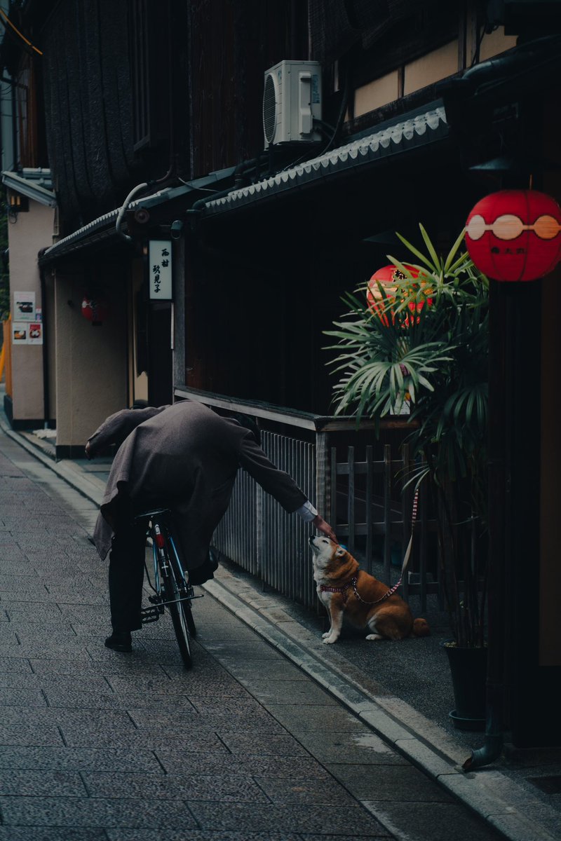 bornofdustandstone tweet media