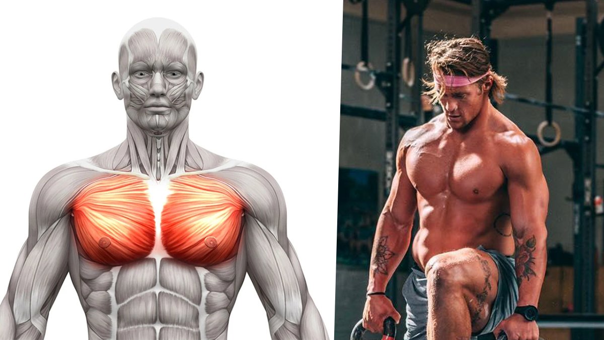 timesup_man's tweet photo. Obtiens des pectoraux impressionnants grâce aux 5 pompes de bases

🧵Thread🧵 https://t.co/yiOKMax4nE