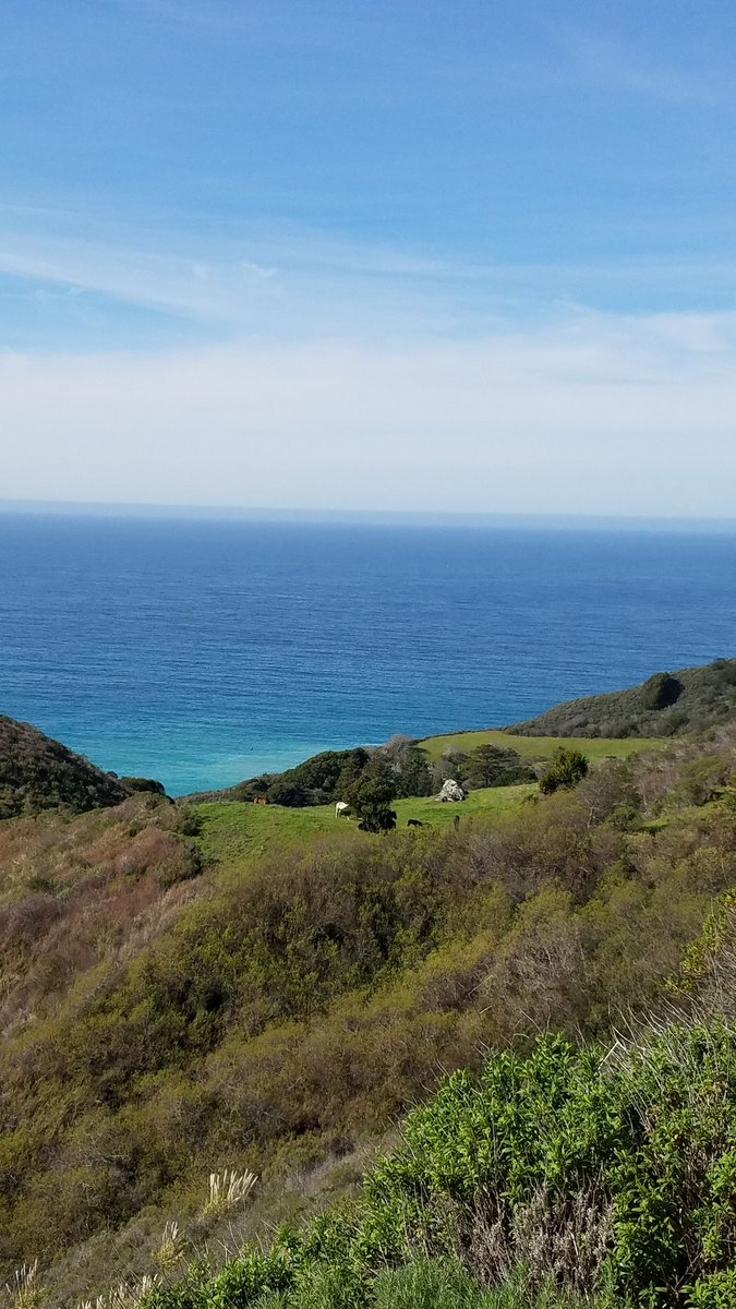 A FMTY to Big Sur was absolutely 💫magical💫. Thank you, D 🙏🏻