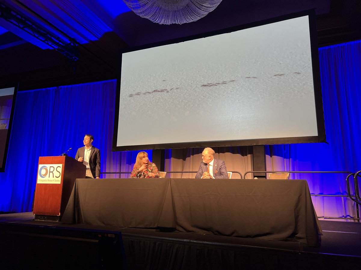 Starting off the #ors2023 debate strong with a compelling argument that we need more stray ants (discovery-based research) aka hypothesis generating work, curiosity based studies, &amp; technology development in our community in the <a href="/ORSsociety/">Orthopaedic Research Society</a> <a href="/ProfCJHernandez/">Christopher Hernandez</a> <a href="/bxjohnstone/">Brian Johnstone</a> <a href="/AM_Malf/">AM Malfait</a>