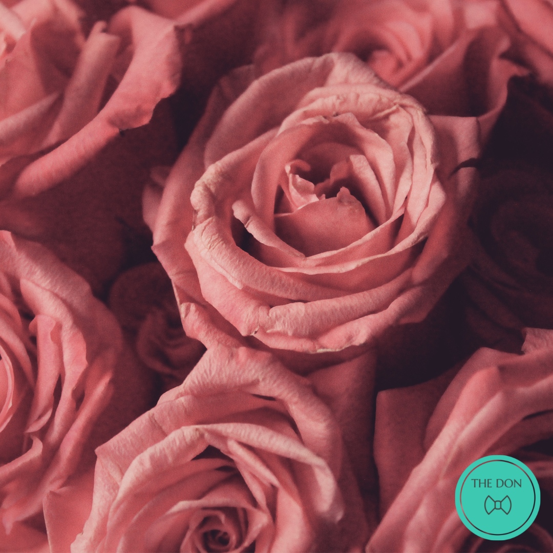 Happy Valentine’s Day to all The DON community! We hope everyone feels loved today!!
~
#imthedon #bethedon #valentinesday #valentine #romance #love #loveisforeveryone
