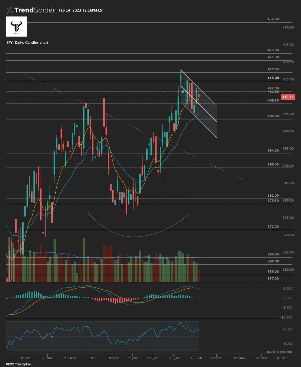 Trading Buddyz tweet media