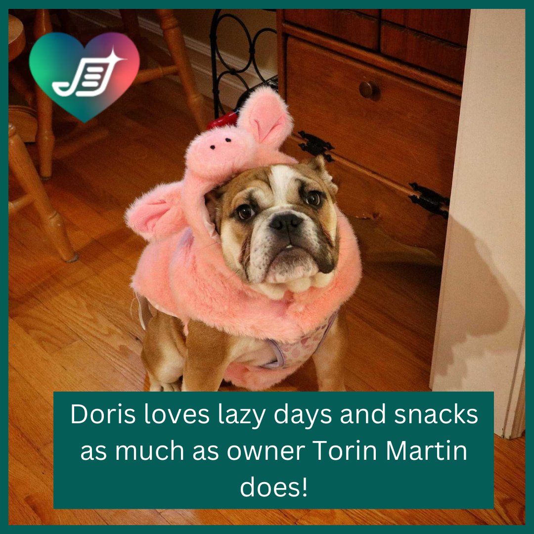 Shinydocs's tweet photo. February is the month of love and what's not to love about our staff's furry companions? 🐾🐶🐱 Our team members are passionate about their pets and we can't blame them! They bring so much joy and companionship to our lives. What do you love about your pets? #LifeAtShinydocs https://t.co/p0NHAD7LJ8