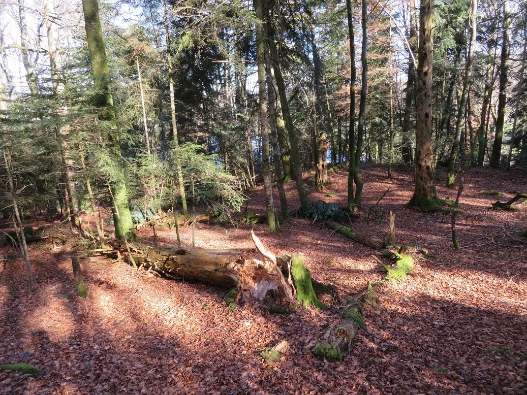 CEN Auvergne tweet media