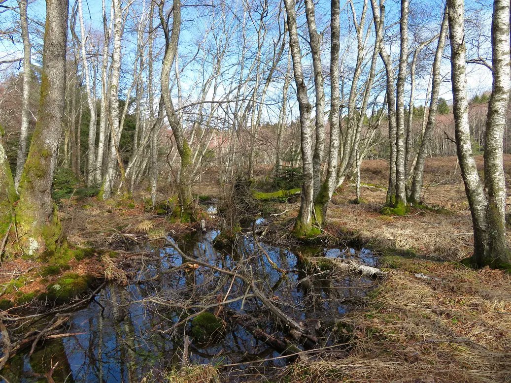 CEN Auvergne tweet media