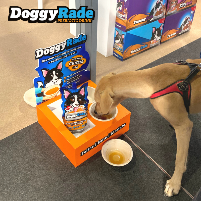 DoggyRade's tweet photo. DoggyRade is Gluten Free meaning it can provide fast hydration for all dogs without causing a reaction 🐕 https://t.co/l1p7ONkjv7