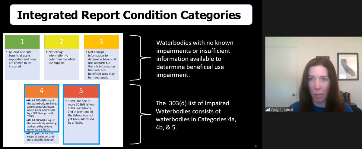 Toxicity of Microplastics Explorer tweet media