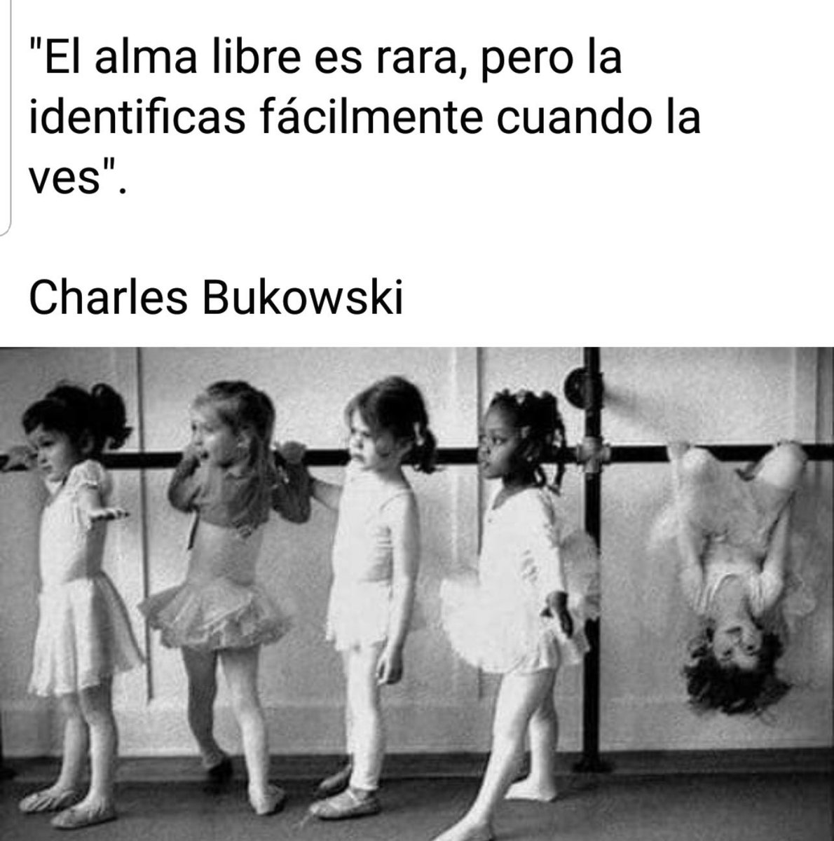 culturaliteral1's tweet photo. https://t.co/xUd53aEMxI