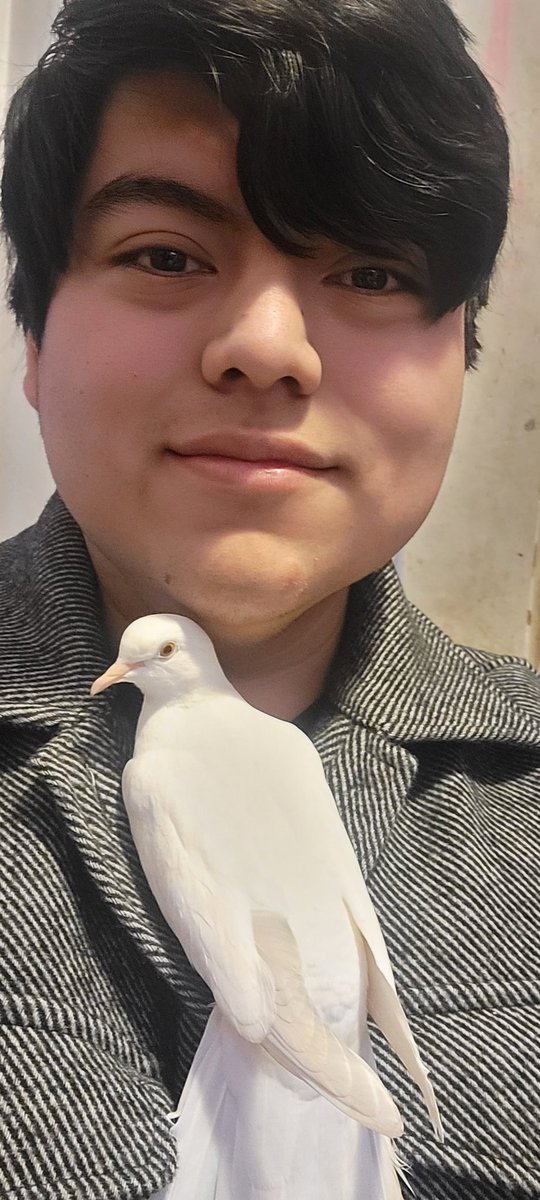 JoeIProductions's tweet image. This was a while ago but...
I FUCKING GOT MY BIRDS BACKKKKKKKKKKKKKK