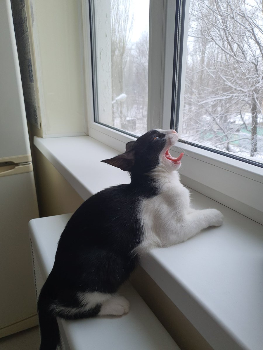 kuurt_'s tweet photo. Сидит орет https://t.co/V9rLcHA6ek