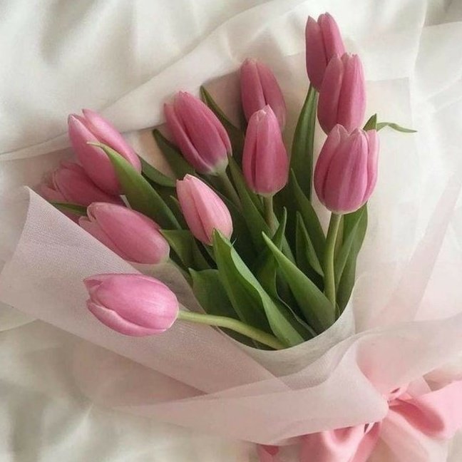 Sᥱɾᥱᥒɩtч ઇ‍ઉ tweet media