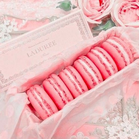 Sᥱɾᥱᥒɩtч ઇ‍ઉ tweet media