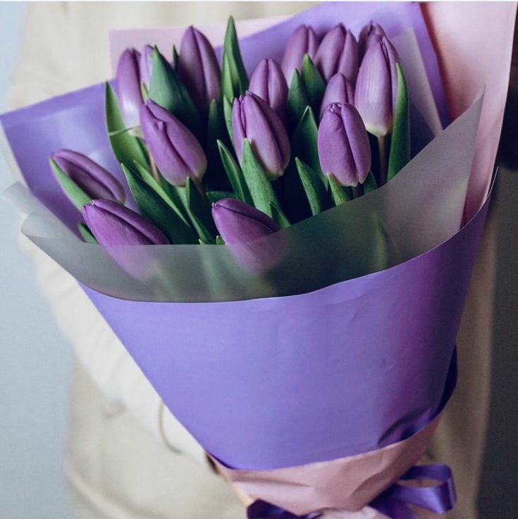 Sᥱɾᥱᥒɩtч ઇ‍ઉ tweet media