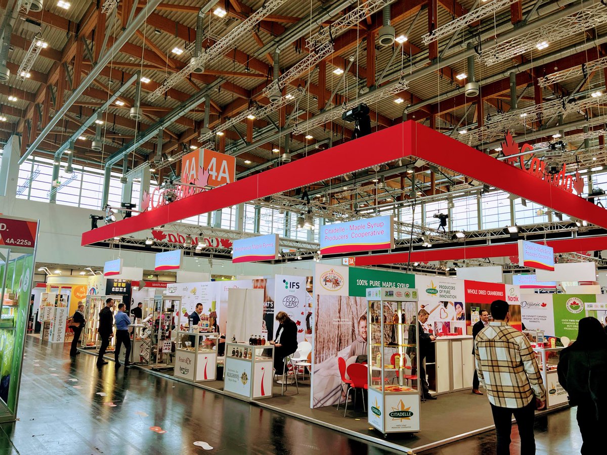 Emma Finn tweet media