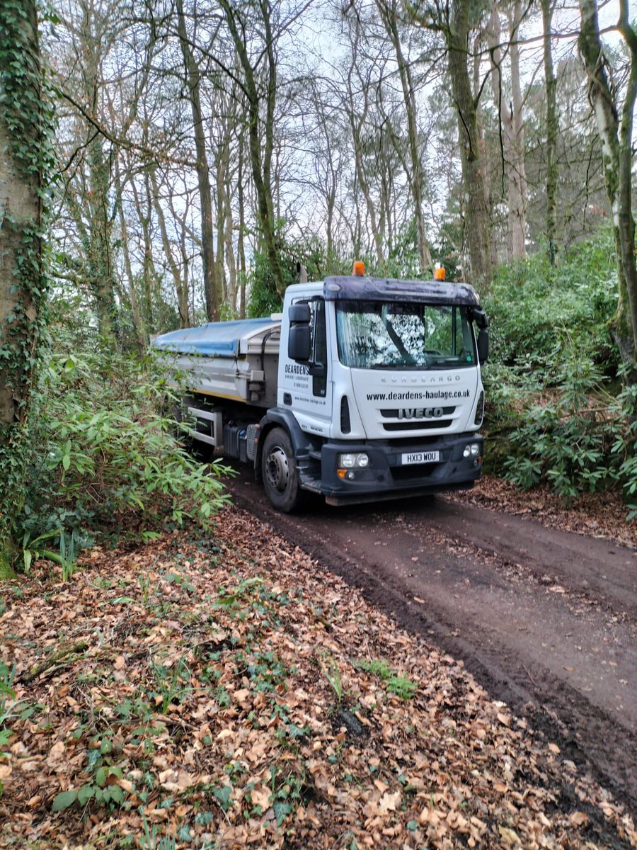 Out and about in the #woods today #deardenshaulage 🌳🌳